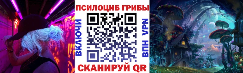 Псилоцибиновые грибы Psilocybine cubensis  купить  сайты  Мегион 