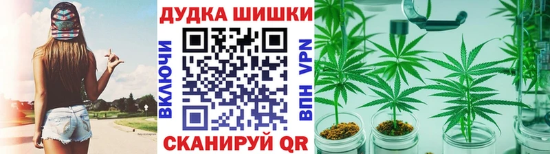 ссылка на мегу маркетплейс  Мегион  Канабис сатива 